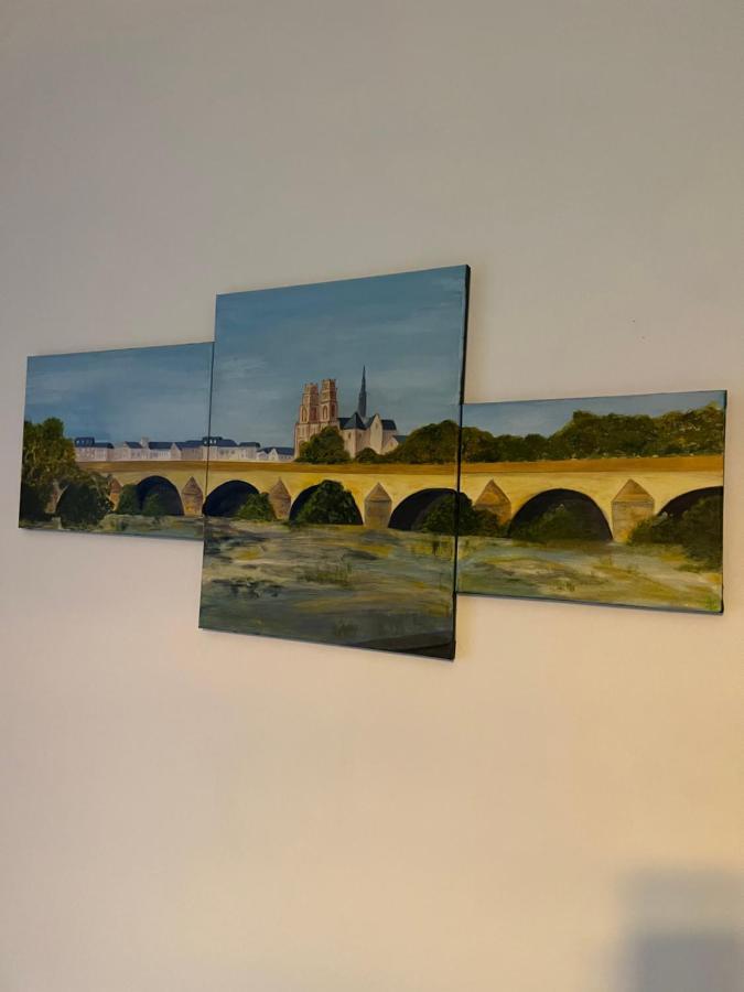 Cosy Loire, T2 Neuf, Front De Loire ,Vue Cathedrale,5Min A Pied Centre Ville Et Parking Prive Orleans Luaran gambar